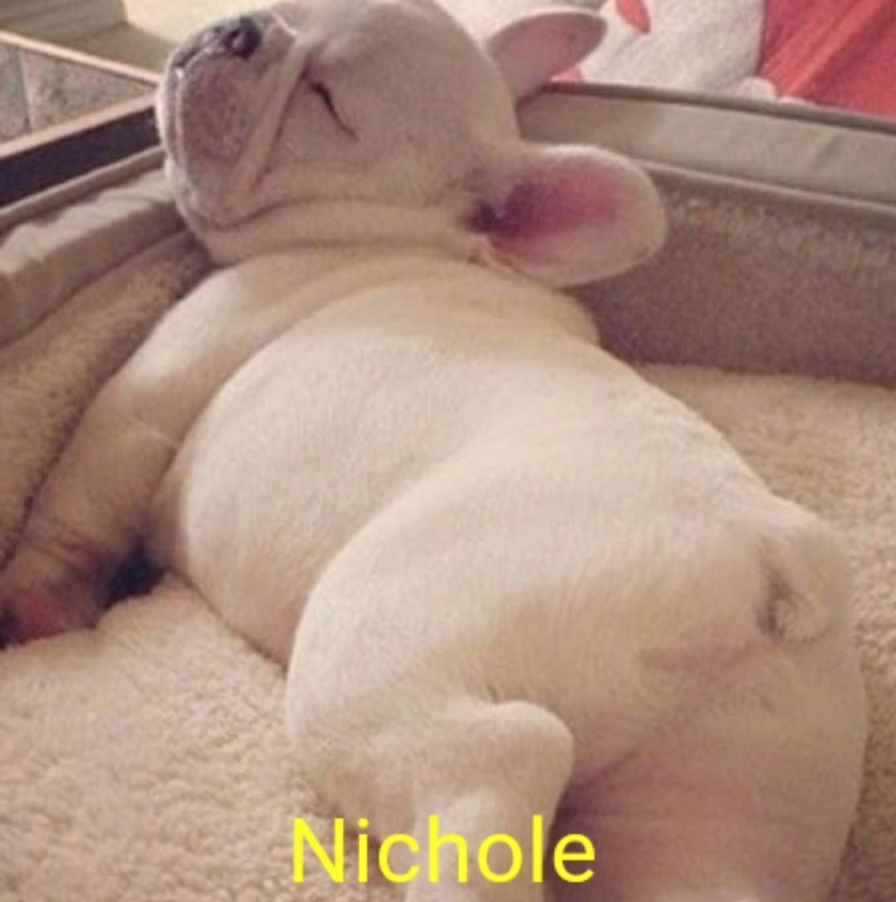 Meet your Posher, Nichole